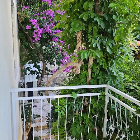 Bojana Apartment Cavtat