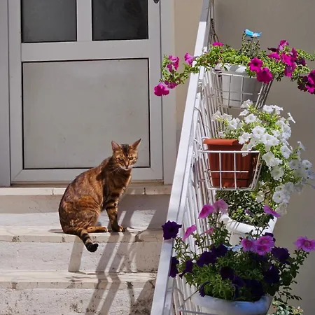 Bojana Cavtat